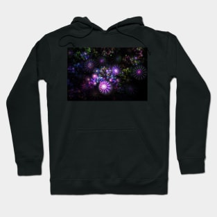 Magic garden Hoodie